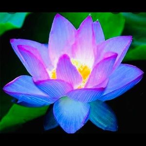 Meet your Posher, Aida